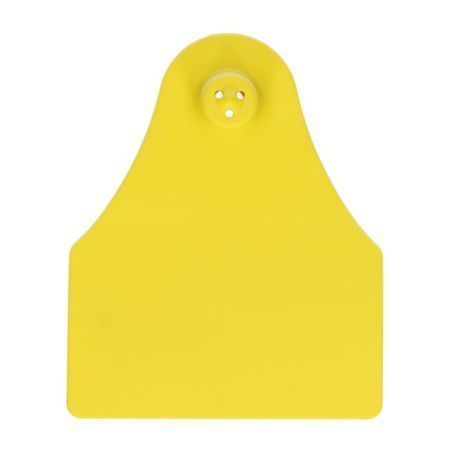 Ear Tag 2